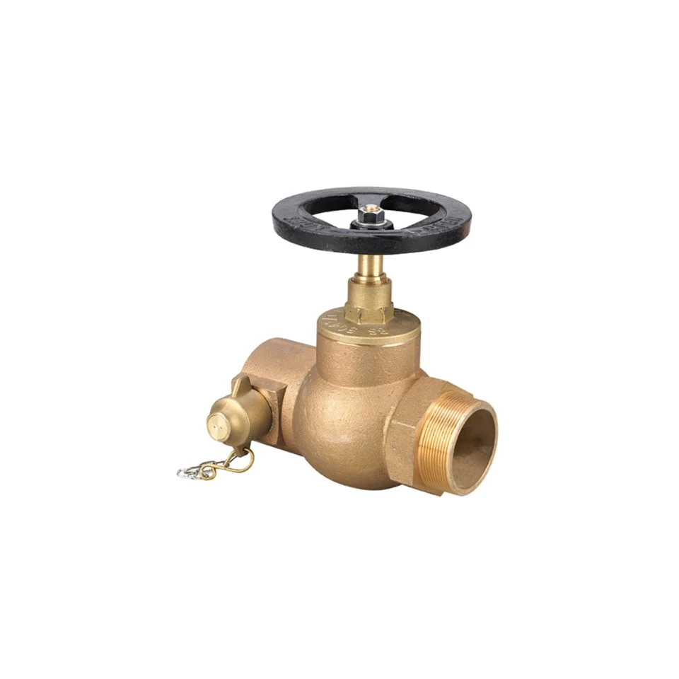DN65 Horizontal Landing Valve